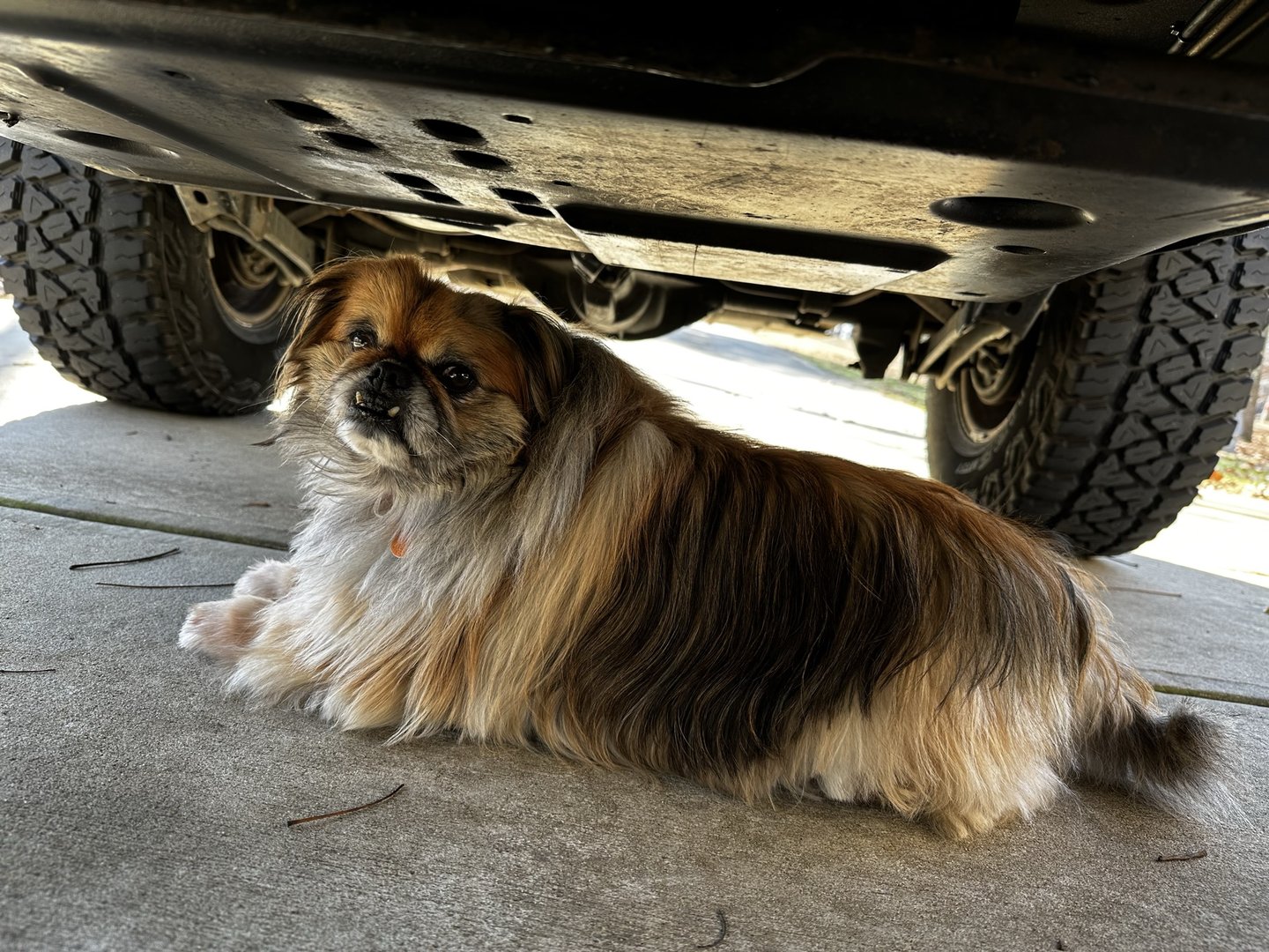 Supervisor Amos